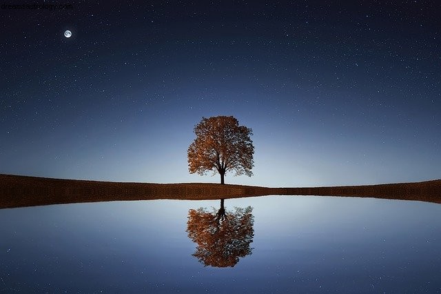 Gemini Horoscope - May 2021: Introspection & Emotional Focus