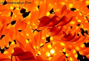 Leo Horoscope August 2016: New Beginnings & Celebration