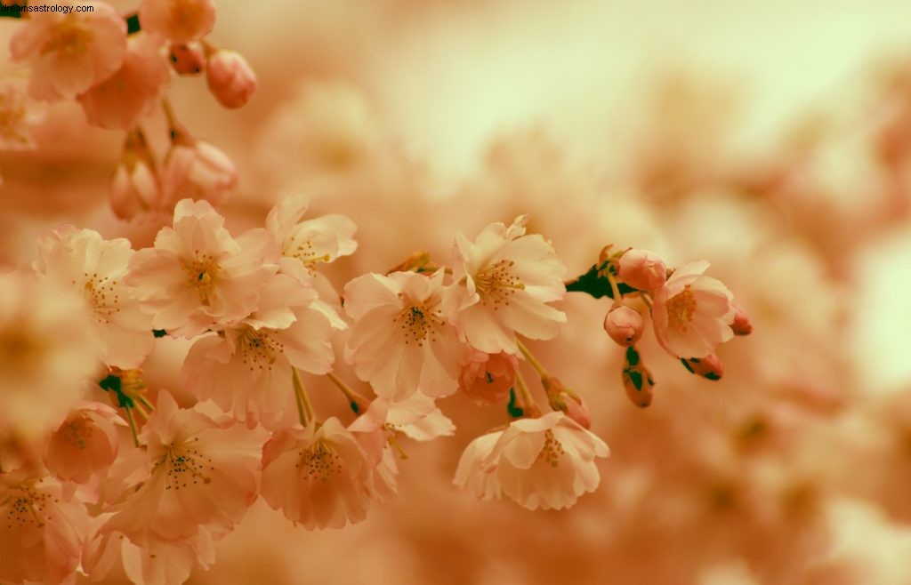 Leo Horoscope - April 2019: Mercury s Shift & Financial Outlook