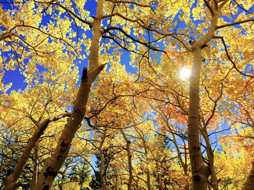 Libra Horoscope October 2017: Venus & Mars in Virgo