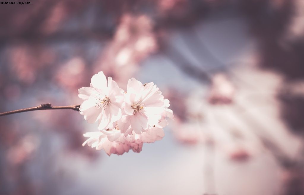 Libra Horoscope for May 2017: Venus in Aries & Mercury Direct