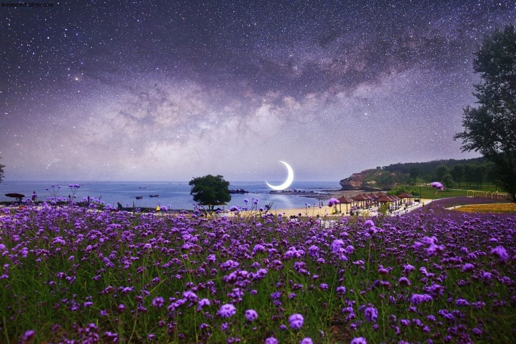 New Moon in Libra: October 19, 2017 - Beginnings & Relationships