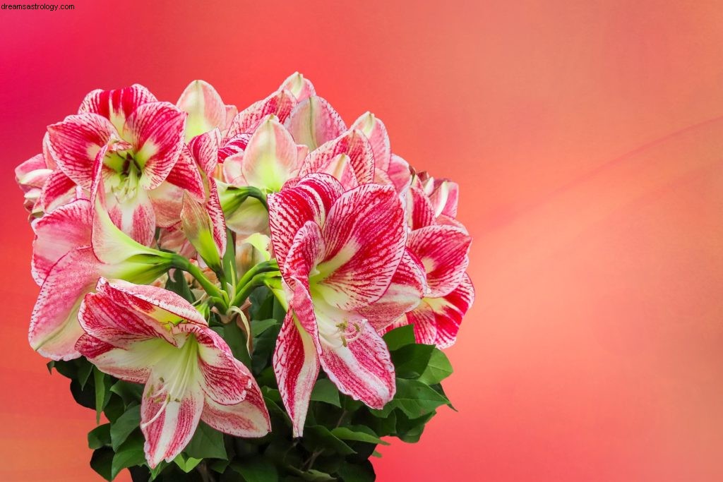 Libra Horoscope for April 2019: Venus & Mercury in Pisces