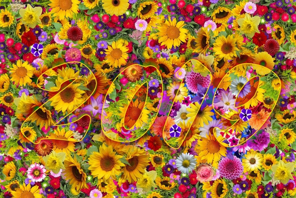 Libra Horoscope January 2019: Navigating Change & Eclipses