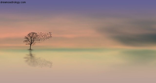 Libra Horoscope January 2020: Love, Creativity & Social Connections