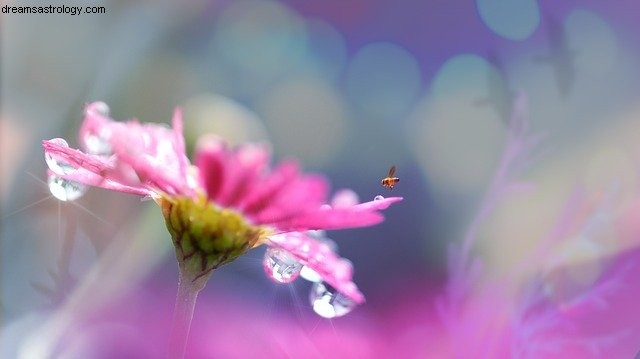 Libra July 2020 Horoscope: Venus in Gemini & New Beginnings