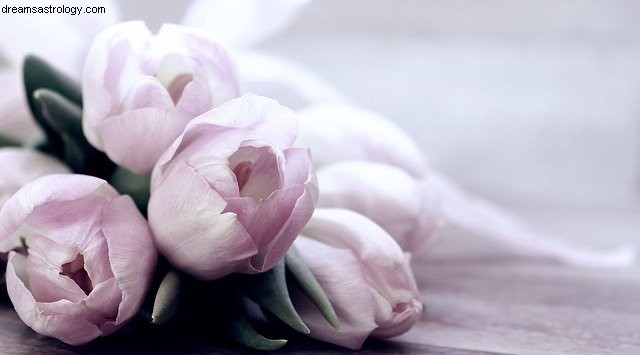 Libra Horoscope - April 2021: Love, Relationships & Venus in Aries