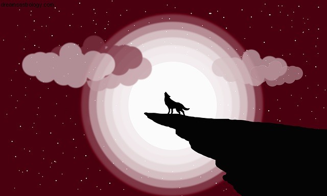 Lunar Eclipse 2020: 13 Tips for Navigating the Full Moon