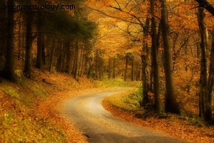 Navigating Mercury Retrograde: Embracing Uncertainty & Taking a Pause
