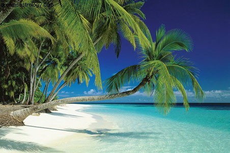 Embracing a Summer of Rest: Why Taking a Break Can Be Beneficial