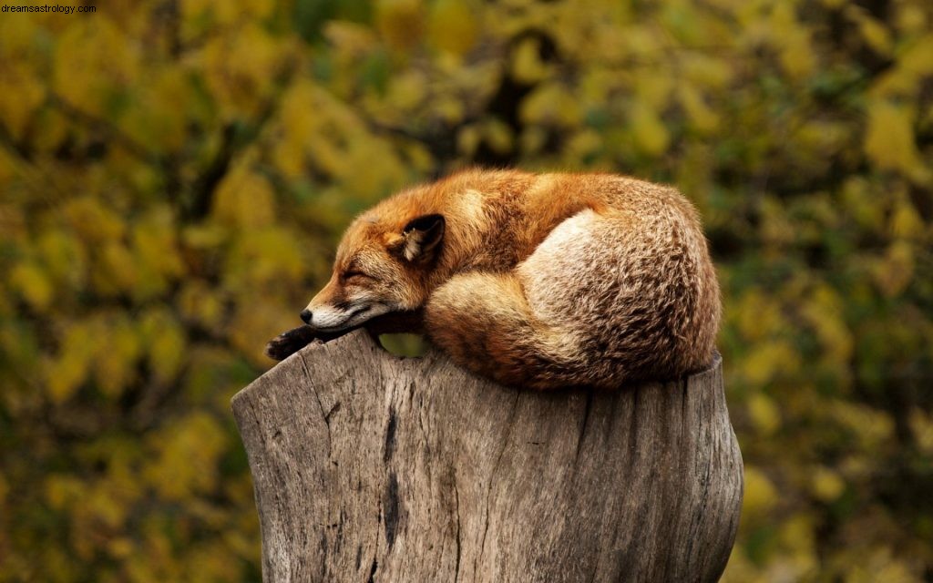 Mercury Retrograde 2019: Dates, Impact & How to Navigate