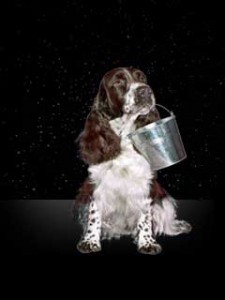 Aquarius Horoscope - February 2012: Communication & Self-Expression