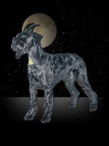Capricorn Horoscope: January 2012 - Mercury s Energetic Influence