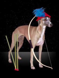 Sagittarius Horoscope - December 2011: Jupiter Direct & Financial Opportunities