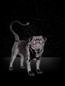 Scorpio Horoscope November 2011: Navigating Self-Discovery & Home Life