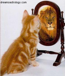 August 2011 Horoscope: Leo - Sun & Venus Influence