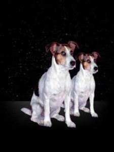 Gemini Horoscope - June 2011: Communication & Self-Promotion