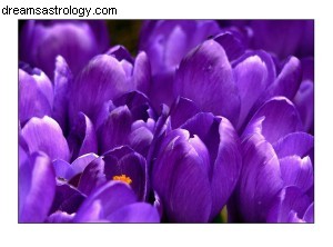 Sagittarius Horoscope - April 2015: Jupiter & Lunar Eclipse Insights
