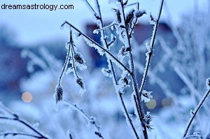 Scorpio Horoscope: December 2015 - End-of-Year Reflections & Mars in Libra