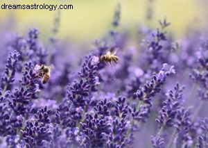 Sagittarius August 2016 Horoscope: Career & Growth