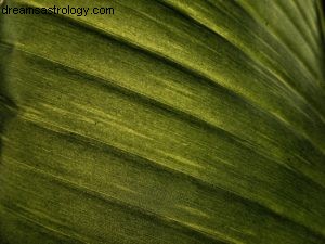 Virgo Horoscope - August 2016: Mercury in Virgo
