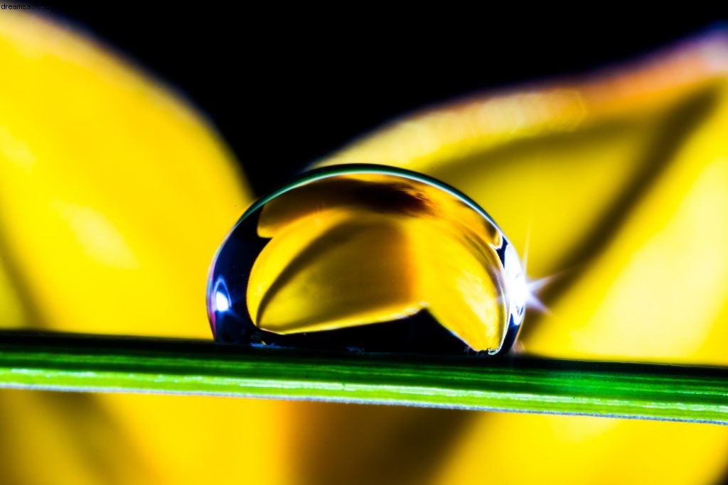 Virgo Horoscope May 2017: Mercury Direct & Communication Clarity