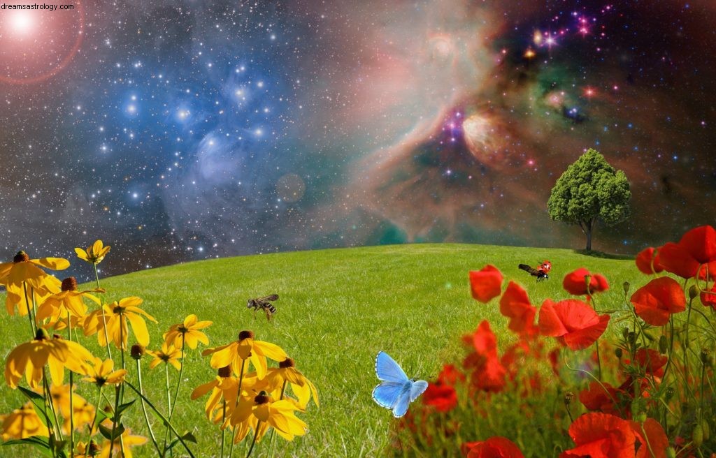 Pisces Horoscope November 2017: Dreams & Future Planning
