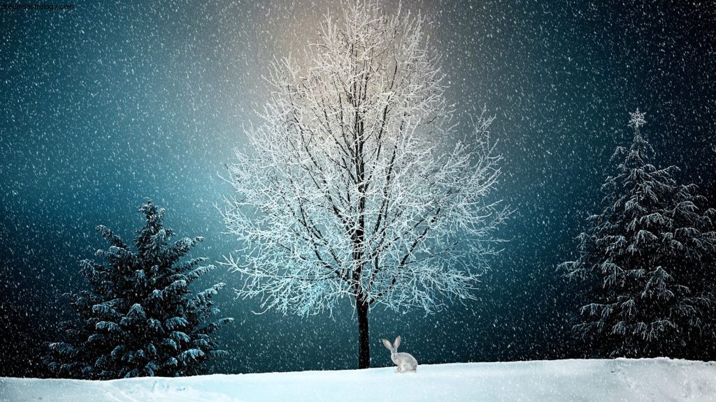 Scorpio Horoscope: December 2017 - Navigating Volatility & Hidden Challenges
