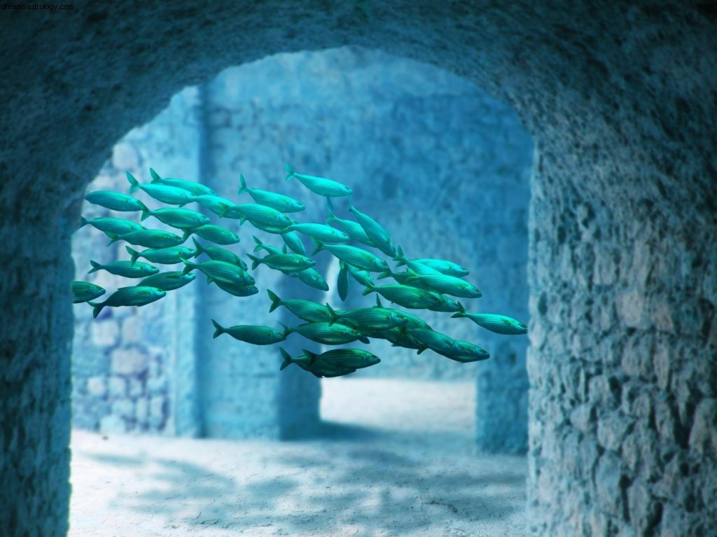 Pisces Horoscope: August 2018 - Balancing Work & Wellbeing