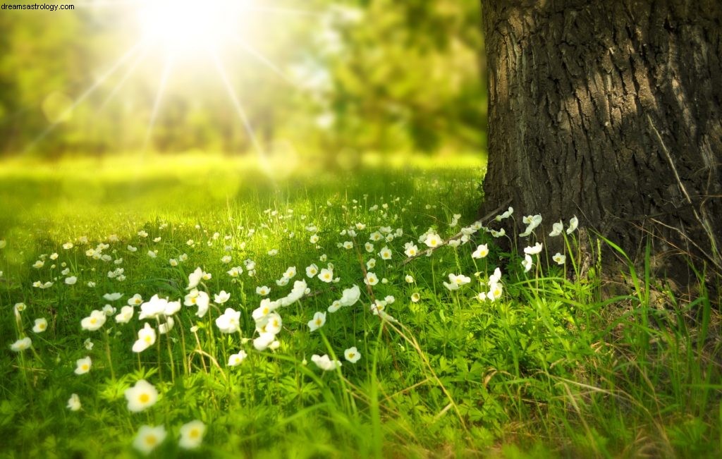 Virgo Horoscope for May 2019: Mercury s Fast-Paced Energy