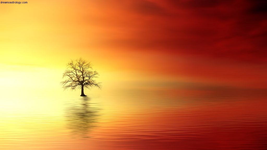 Taurus July 2019 Horoscope: Navigating Eclipses & Venus in Cancer