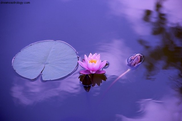 Pisces July 2020: Cancer s Influence & Mercury Retrograde