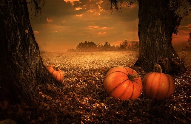 Virgo Horoscope November 2020: Financial Clarity & Decisions