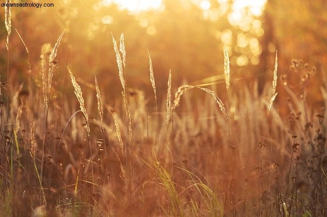 Virgo Horoscope for April 2021: Action & Progress