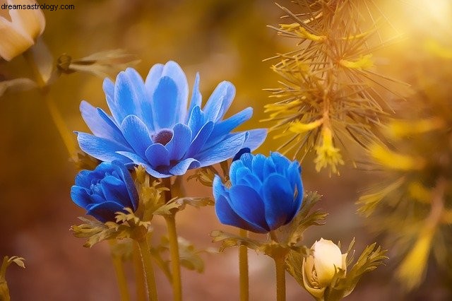 Virgo July 2021 Horoscope: Career & Communication - Astro-Insights