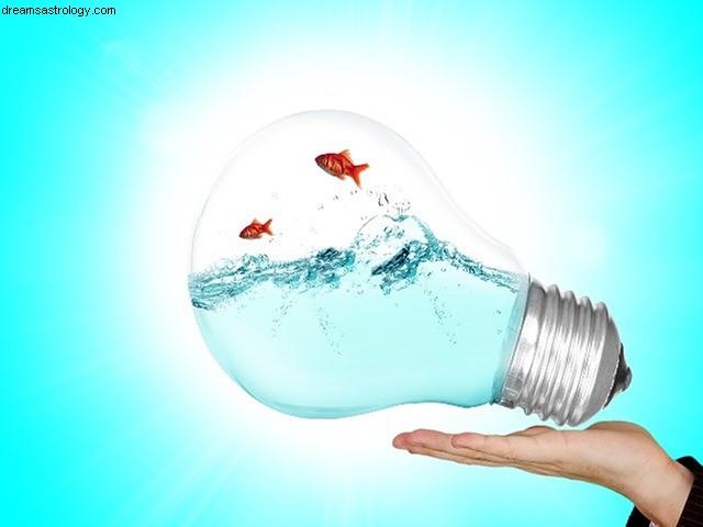 Pisces Horoscope November 2021: Travel, Learning & Transformation