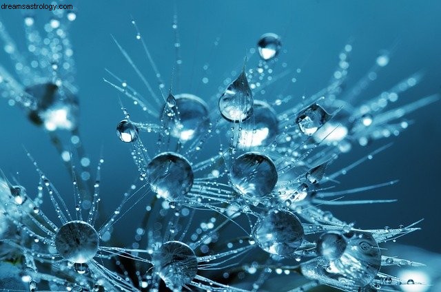 Pisces Horoscope February 2022: New Beginnings & Inner Reflection
