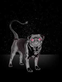 Scorpio Sun: Understanding the Energy & Influence (Oct 23 - Nov 22)
