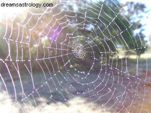 Understanding Scorpio: An Astrological Perspective