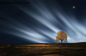 Solar Eclipse in Virgo: Meaning, Timing & How to Navigate