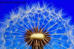 New Moon in Pisces: Understanding the Dark Moon Phase (March 17, 2018)