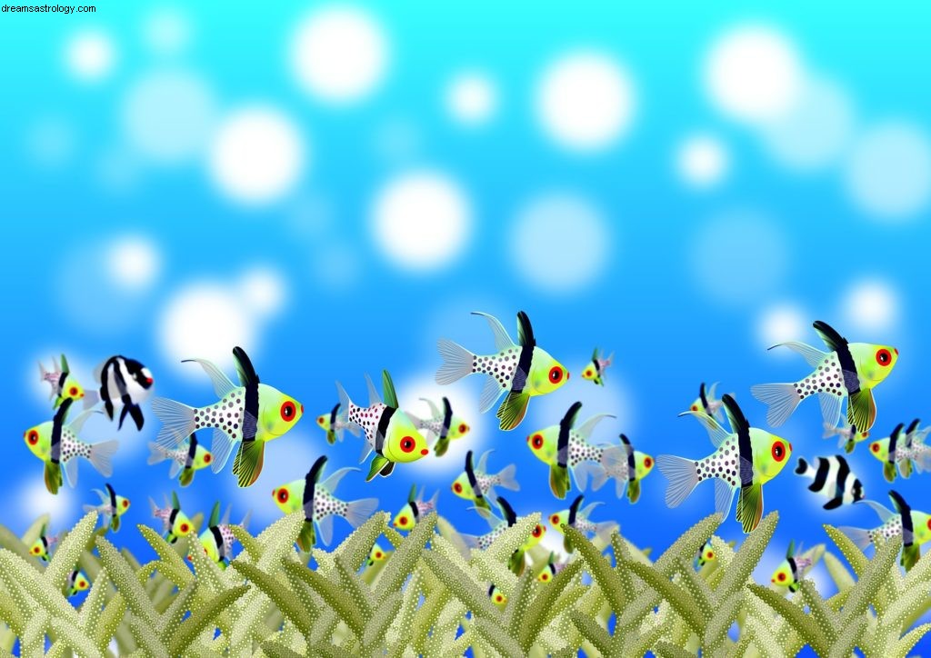 Astrology Podcast: Pisces Season & February 18 - March 19, 2019 - Insights for Every Sign