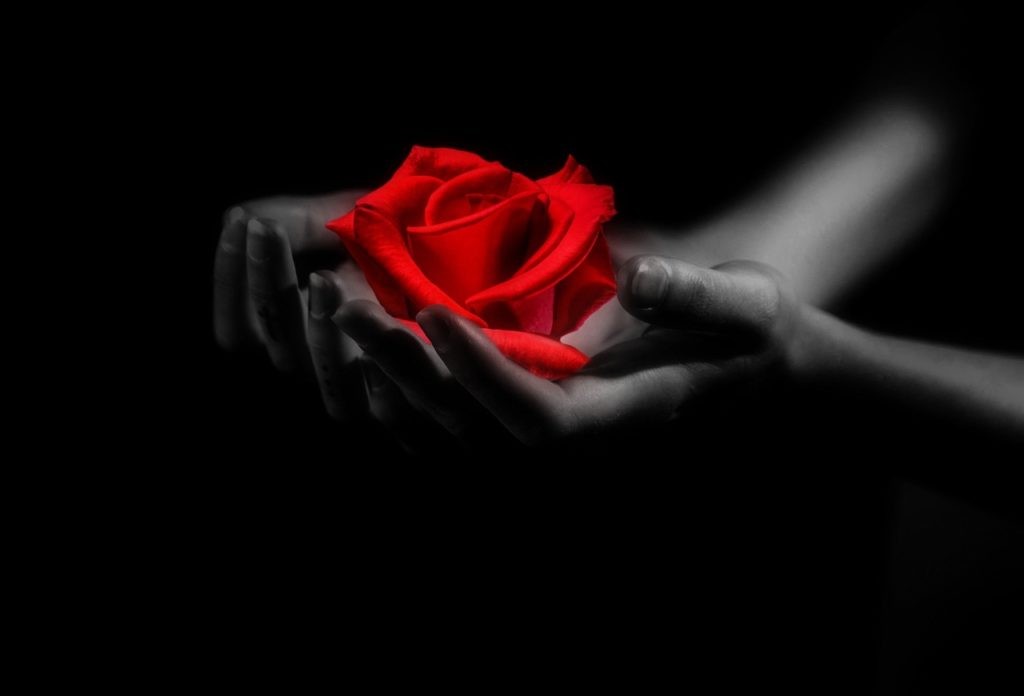 Venus Direct: Navigating Love & Finances After Retrograde