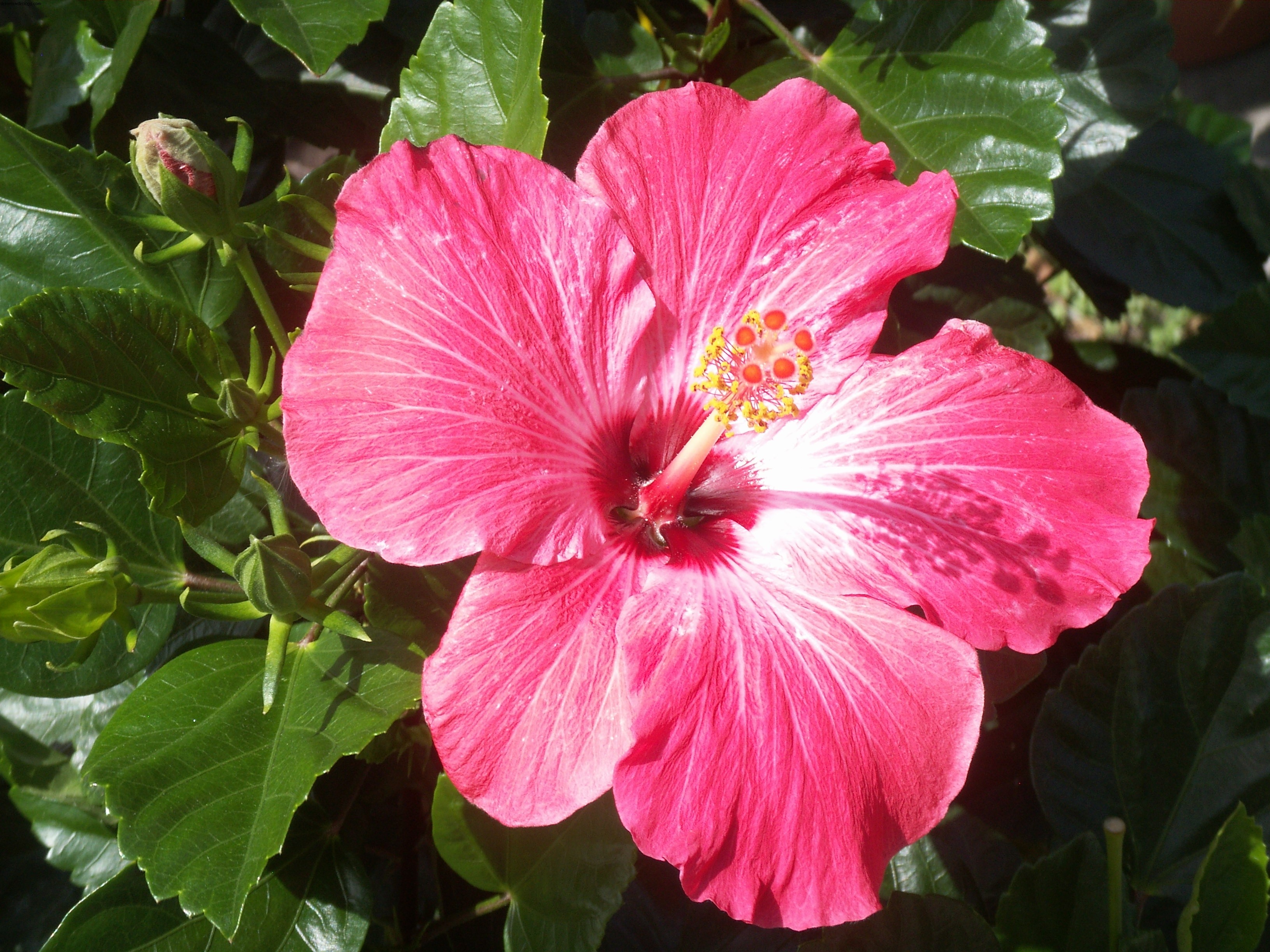 Astrology Workshop & Consultations in Fort Lauderdale, May 2024