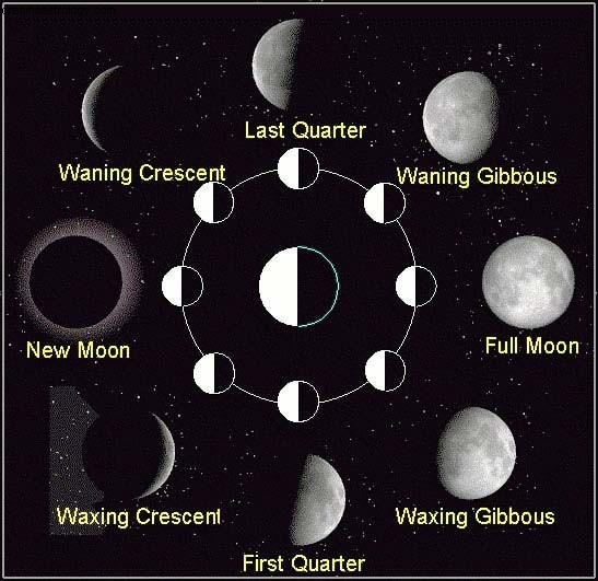 Unlock Your Life Path: Moon Phases Astrology Workshop in Sydney
