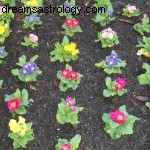 Virgo Moon & Mercury in Aquarius: Embrace Innovation & Efficiency