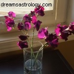 Venus Trine Pluto: Transformative Changes in Relationships & Finances (March 30)