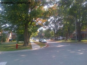 Embracing New Beginnings: Finding Calm in a New Neighborhood