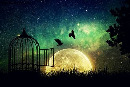 Full Moon in Taurus: Embracing Change & Unexpected Shifts