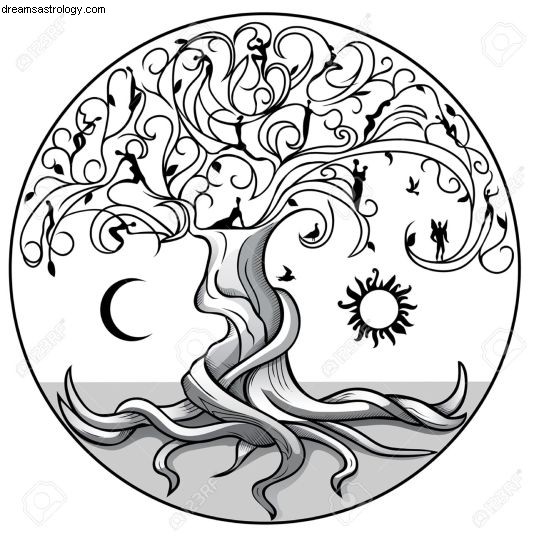 North Node in Cancer (2018-2020): Meaning & Personal Impact